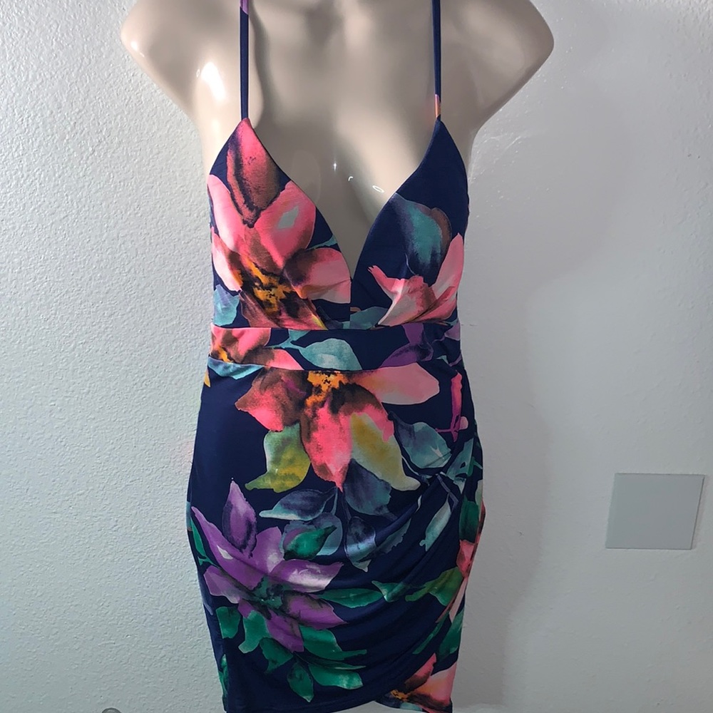 NWT WINDSOR FLORAL PRINT DRESS - Picture 1 of 7